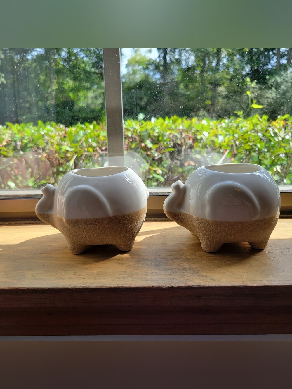 Mini Elephant Succulent Planters 4 In.
